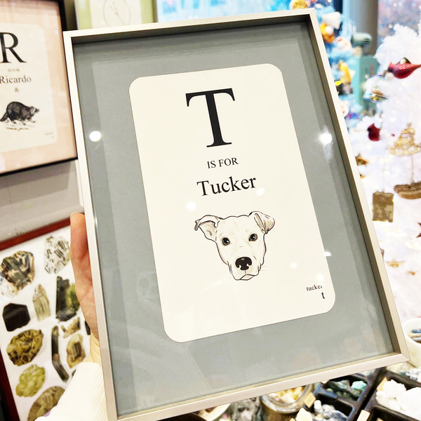 Custom Pet Flashcard