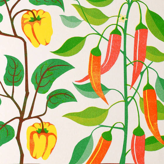 Chili Peppers a3 Risograph Print