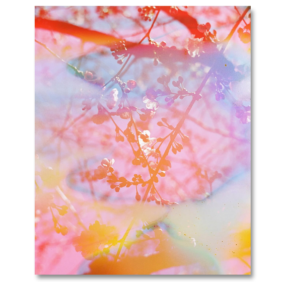 A Spring In Your Step 8x10 Print