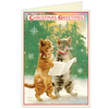 BOXED Christmas Cats 4 Card