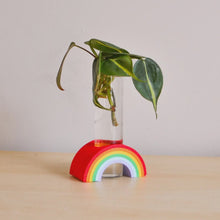  Rainbow Propagation Vase