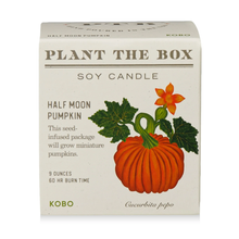  Half Moon Pumpkin 9 oz. Candle