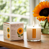 Sweet Sunflower 9 oz. Candle