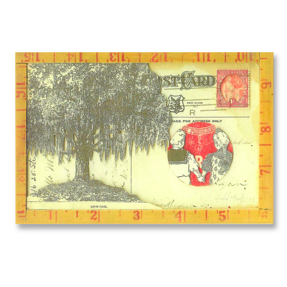 TM Untitled Postcard