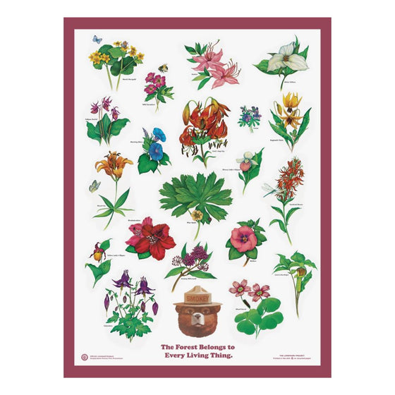 Flowers of the Forest Educational Poster 18x24