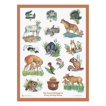  Baby Animals Educational Poster 18x24