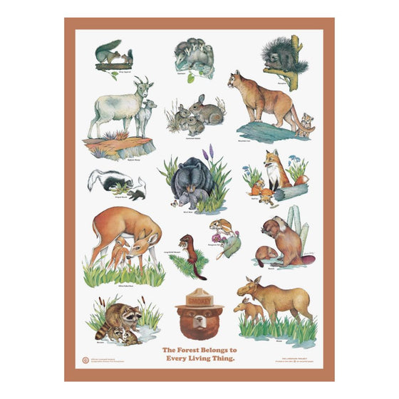 Baby Animals Educational Poster 18x24