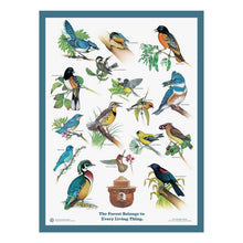  Birds of the Forest Educational Poster 18x24