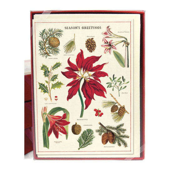 Christmas Botanica BOXED Cards (Set of 8)