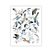  Seagull Sanctuary Print 8x10