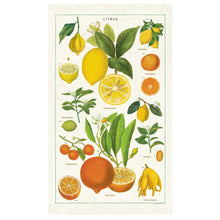  Citrus Vintage Tea Towel