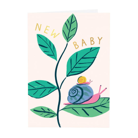 New Baby Snails