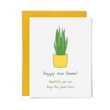  Housewarming Houseplant